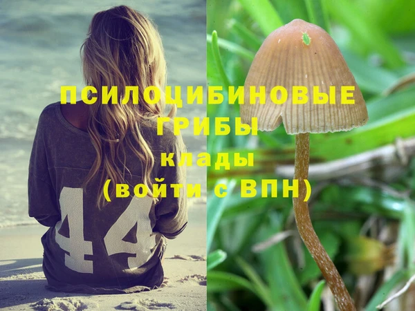 скорость Остров